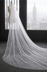 Princess Cute Lace Cut Edge 1.5*3M Wedding Veils with Appliques